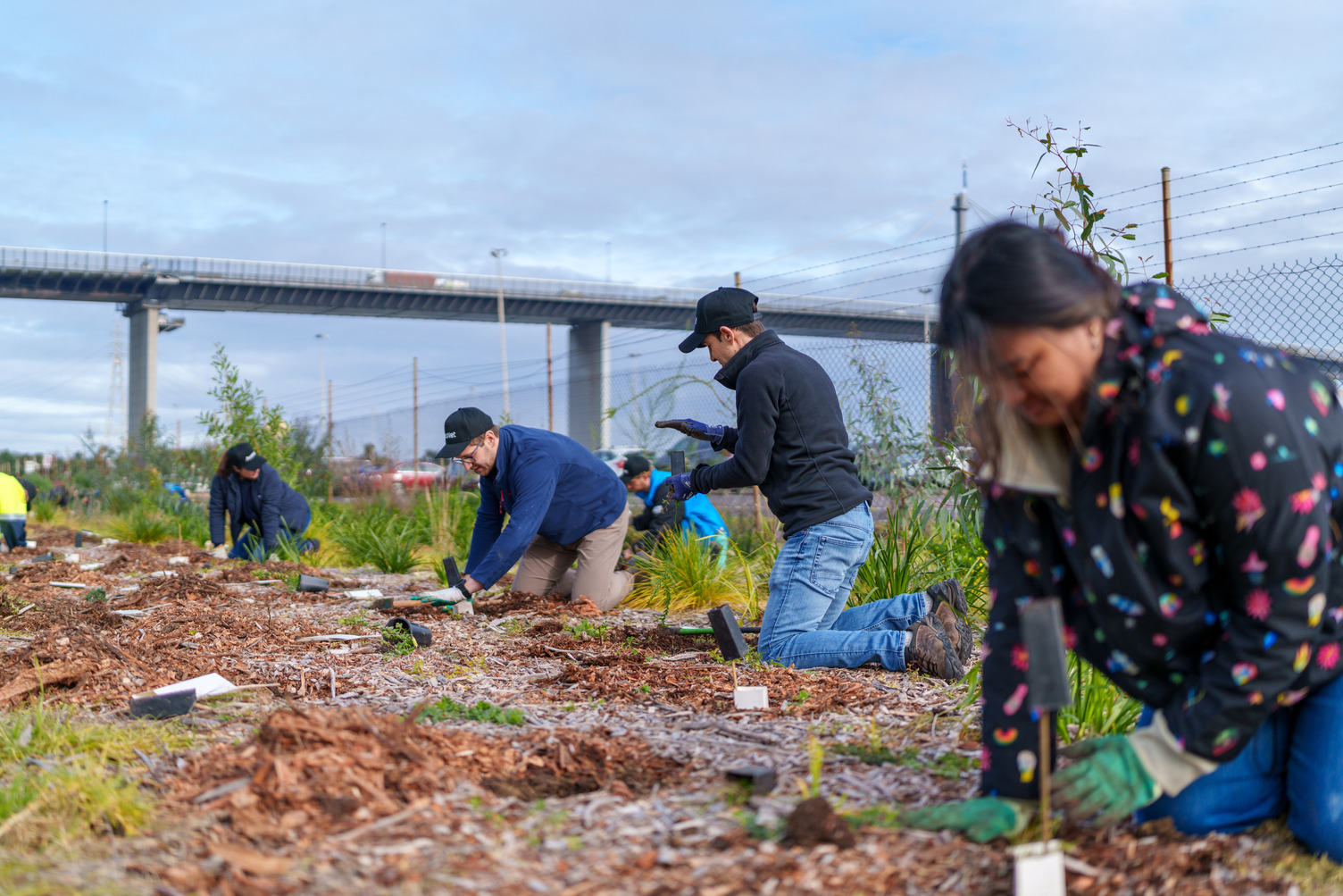 A group of people outside planting trees